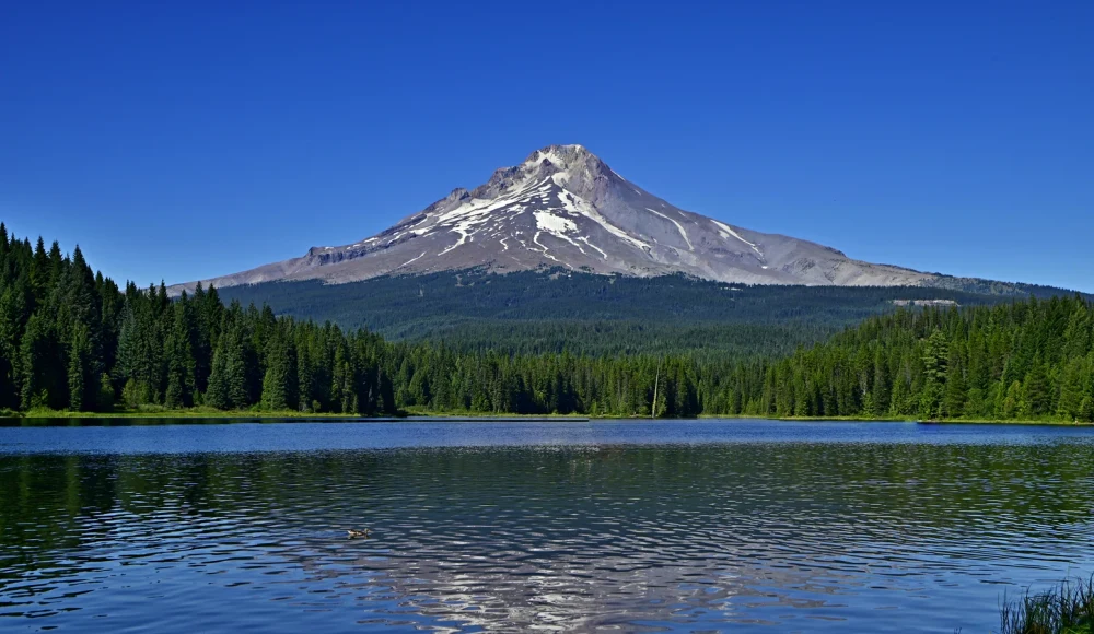 How to Sell Inherited Land in Oregon land guide