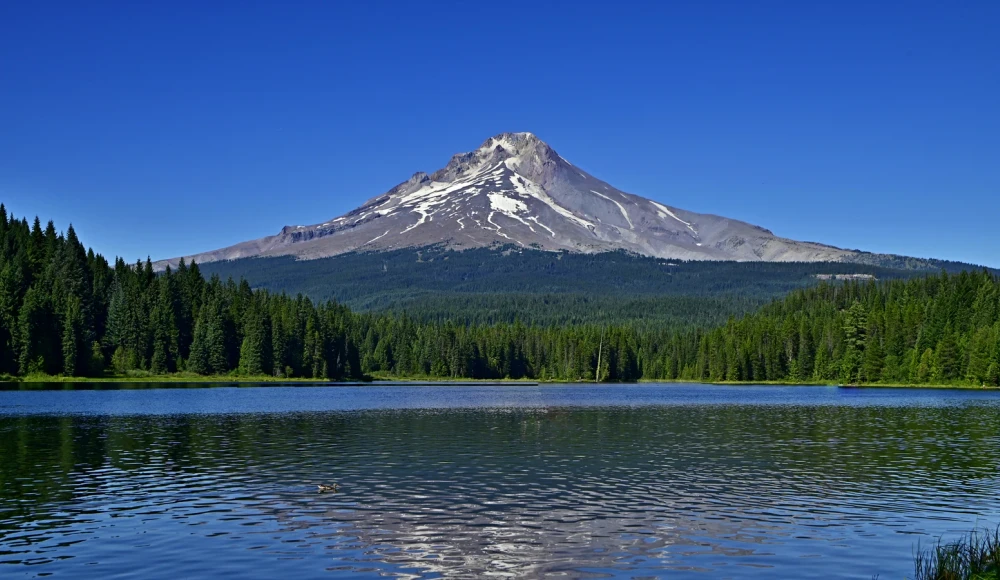 Legal Documents for Selling Land in Oregon land guide