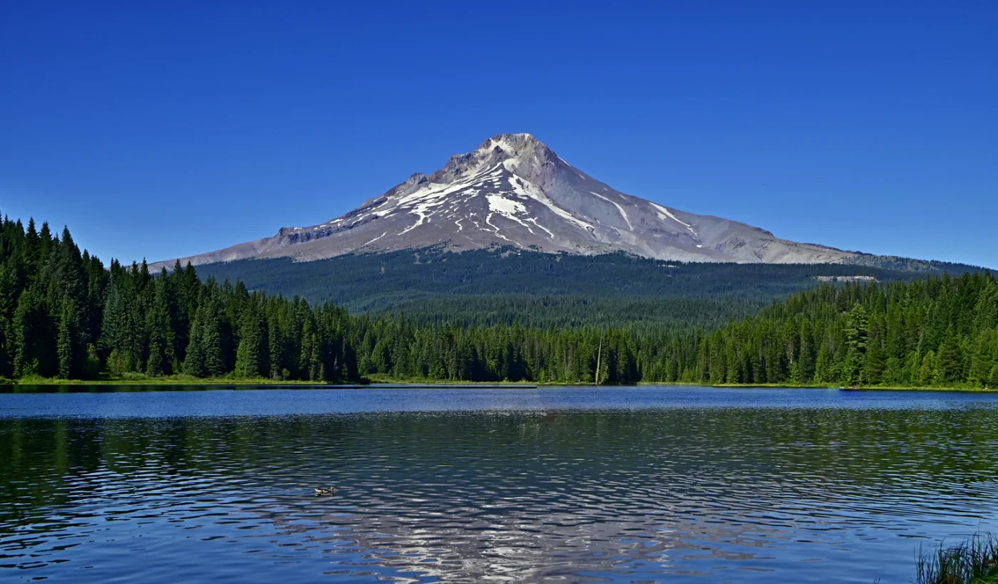 Beaverton Oregon land