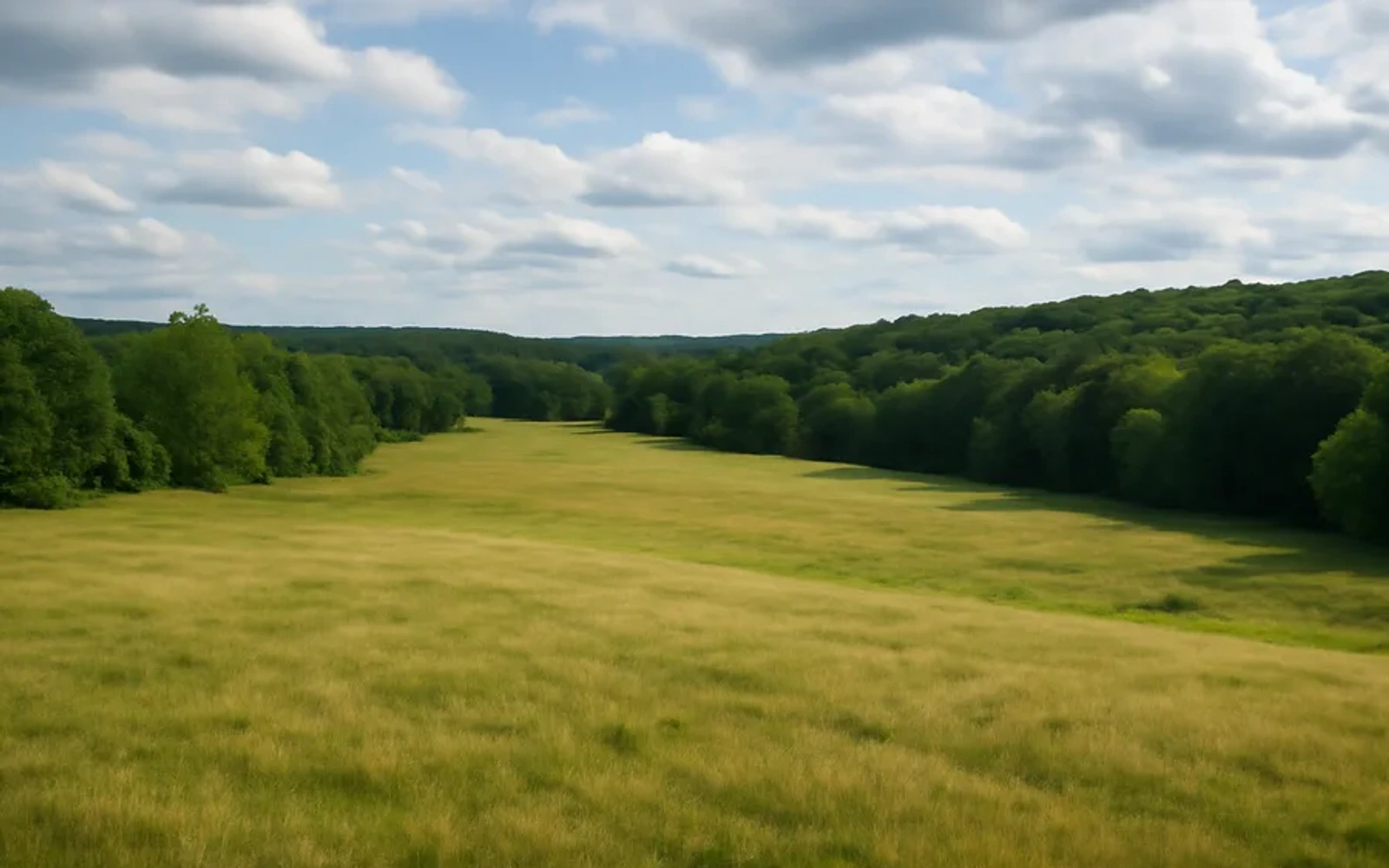 Rural acreage in Albany